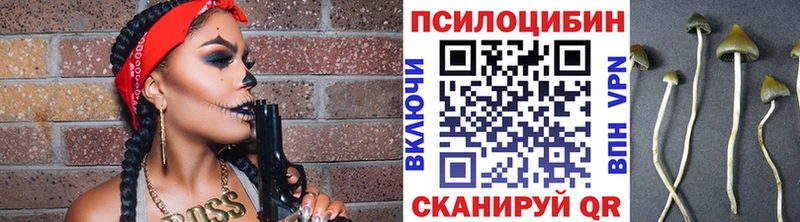 Галлюциногенные грибы ЛСД  как найти закладки  Магас 